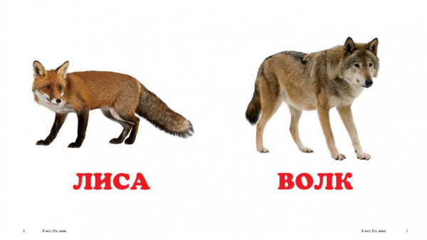 22100_1.jpg