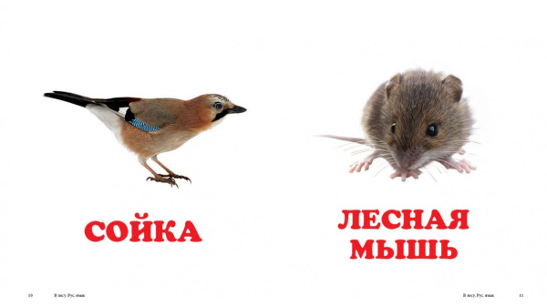 22100_2.jpg