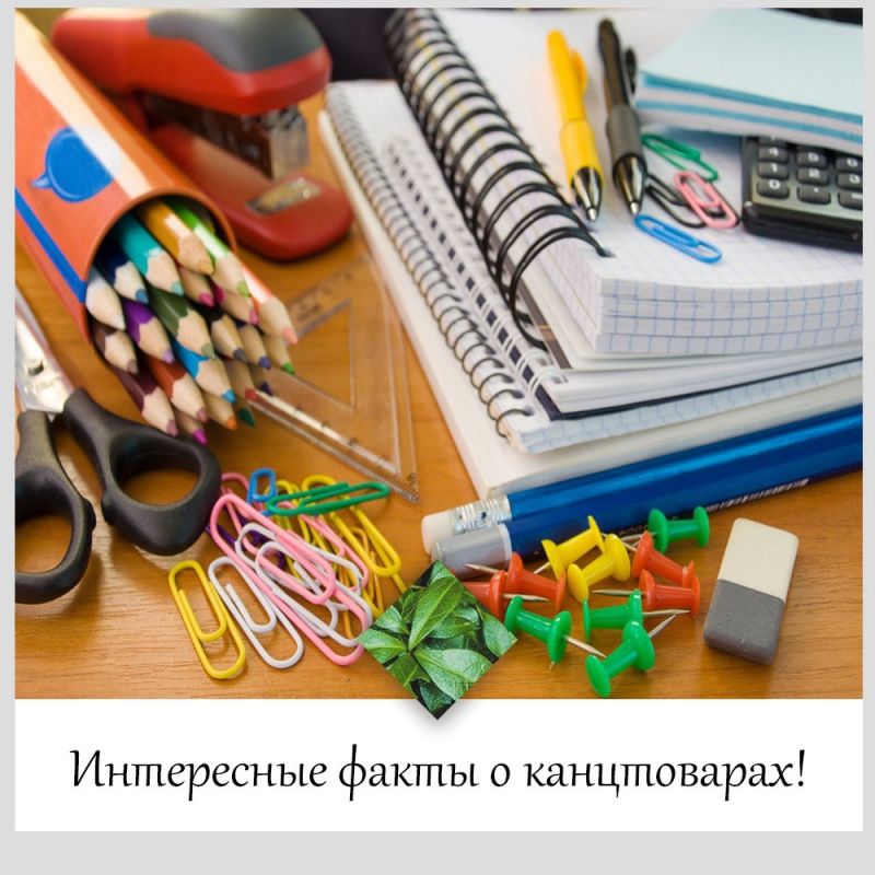 5 ИНТЕРЕСНЫХ ФАКТОВ О КАНЦТОВАРАХ