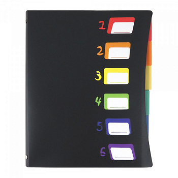 Папка пласт.SP-1731VGR на 6 отд. с цветн. раздел. 