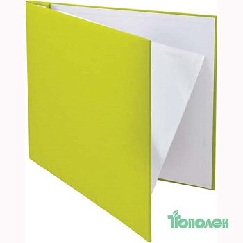 Альбом для скрапбукинга 35*33см 10л 952053