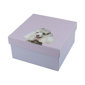 Коробка подар.M AG1076 ANGEL GIFTS