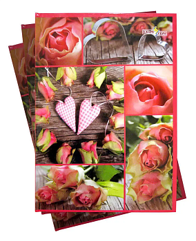 Тетрадь А4 144л.ТП-56 тв.перепл.офсет