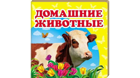 67254.jpg