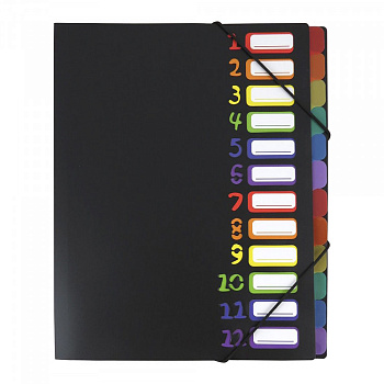 Папка пласт. на 12 віділів з різнокол. розділеням. А4; 450мкм.; арт. SP-1741; VGR