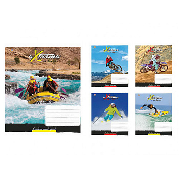 Тетрадь 60л.лин. З. У.