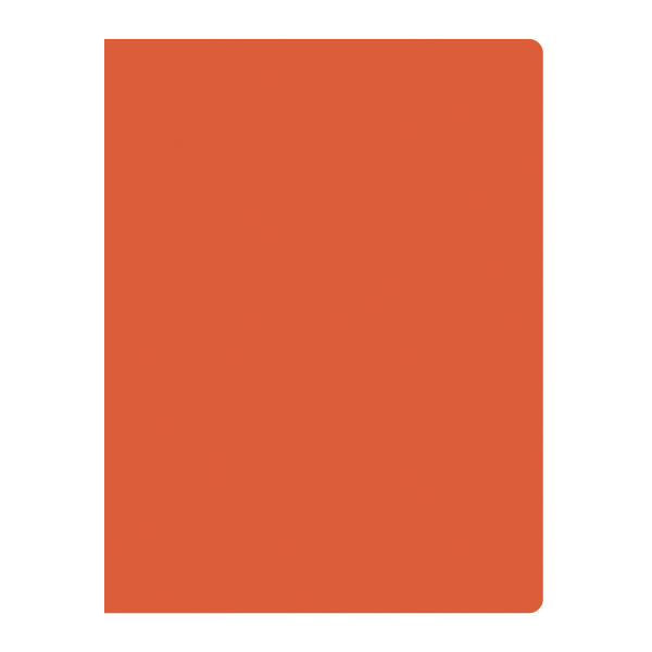 28710Papka-na-10-faylov-VGR-A4-NEON-plastik-neprozrachnIMAGE4