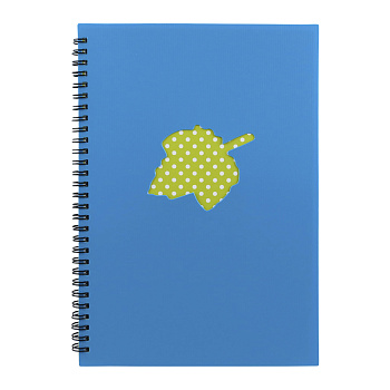 Зошит на спіралі ; 105*150мм; 80арк.; пласт. обкл. асорті; лін.; арт. BN4055; VGR