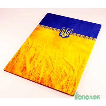 Папка "На подпись" Е30901-05 желто-синяя