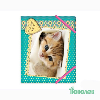 Папка-д/тетрадей В5 на рез.CF31642-04"My funny kitty""Котенок"