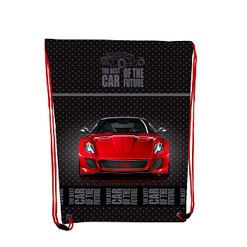 Сумка для обуви 2131C,""Redr Car", 46*33см, 210D PL,  CLASS