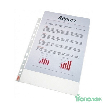 Файл А4 прозр. 55мк Еs56066