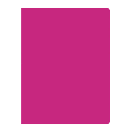 28710Papka-na-10-faylov-VGR-A4-NEON-plastik-neprozrachnIMAGE1