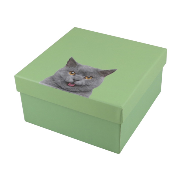 86779.jpg