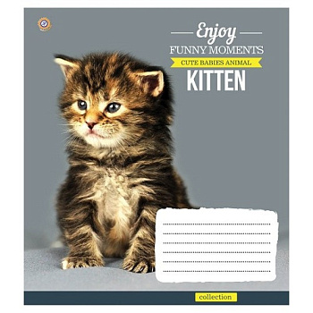 Тетрадь 12л. кл. З. У.