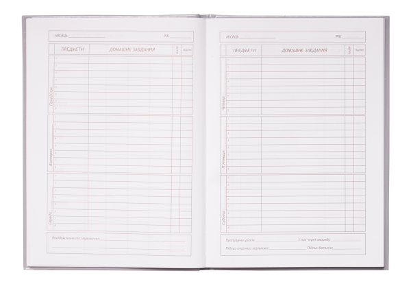 Дневник ZiBi_внутренний блок_сендвич_стр.5