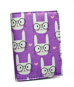 Визитница Passporty 41