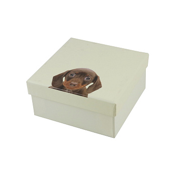 Коробка подар.S AG1077 ANGEL GIFTS