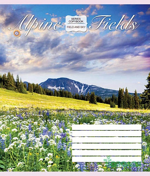 Тетрадь 36л.кл. З. У.