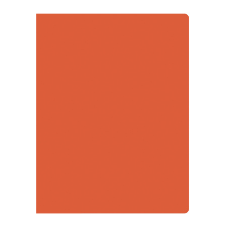 28710Papka-na-10-faylov-VGR-A4-NEON-plastik-neprozrachnIMAGE4