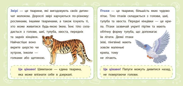 88522_2.jpg