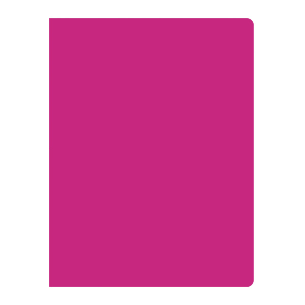 28710Papka-na-10-faylov-VGR-A4-NEON-plastik-neprozrachnIMAGE1