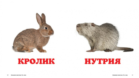 67254_1.jpg