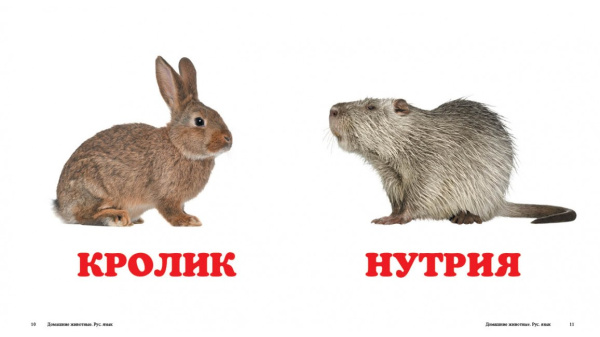 67254_1.jpg