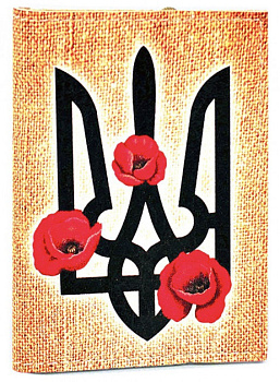 Визитница Passporty 01